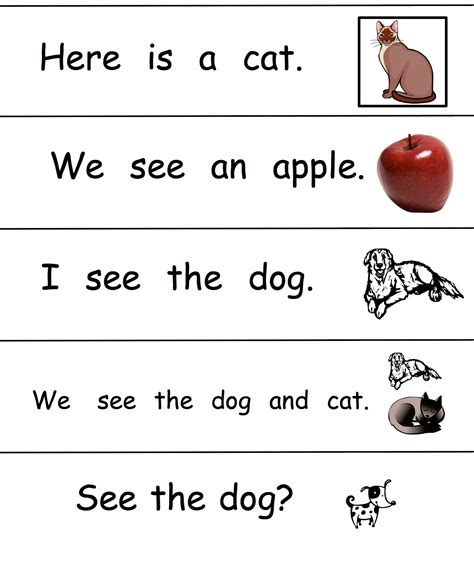 Simple English Sentences For Kindergarten