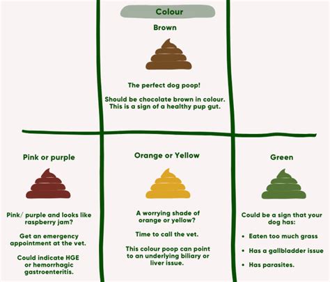 Dog Poop Color Chart Find Out What Each Color Means Dog Poop Color