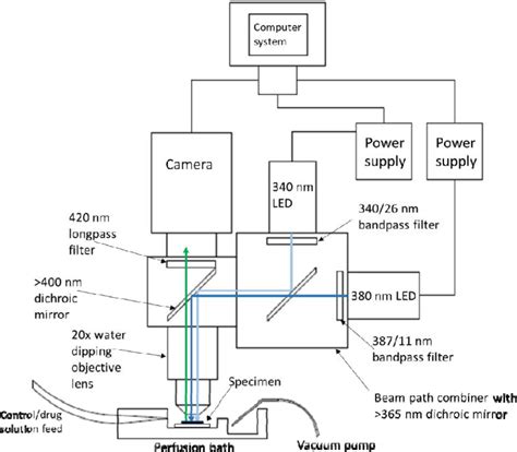A 340380 Nm Light Emitting Diode Illuminator For Fura 2 Am Ratiometric