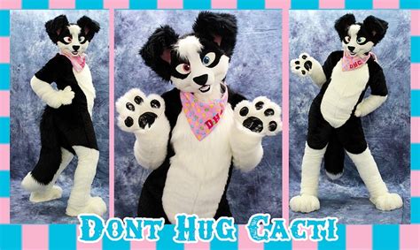 Mat Collie 53 By Donthugcacti Cute Creatures Furry Art Furry