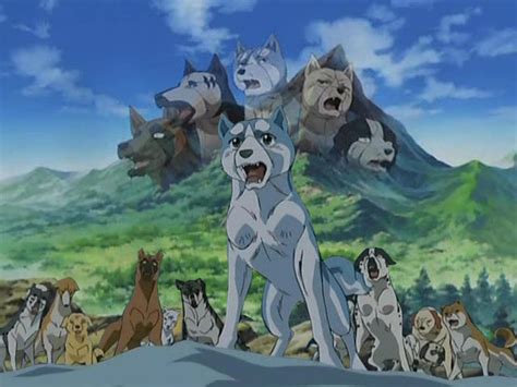 Crunchyroll Forum What Is The Best Anime Dog Shows You Have Ever Seen