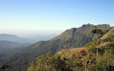 Ponmudi Hills Natural Beauty Of South India S Highest Hill Tourist