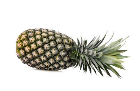 Single Ripe Whole Pineapple Isolated On White Stock Image Image Of