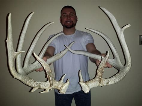 Monster Kansas Deer Sheds One Side Scores 121 Big Deer