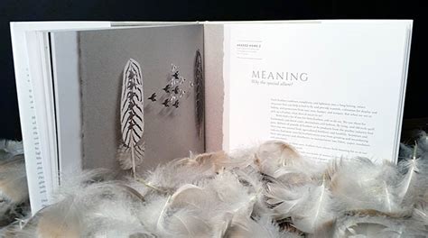 Book Has Arrived Feathers Form And Function — Featherfolio