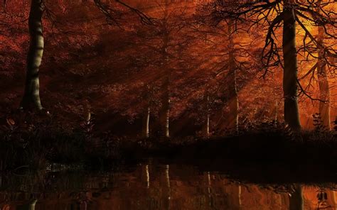 Red Forest At Sunset Wallpapers And Images Wallpapers Pictures Photos