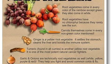 Cheap Root Vegetables Names Find Root Vegetables Names Deals On