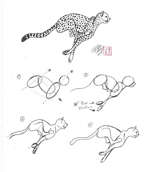 24 animal drawings free psd ai vector eps format. How to Draw a Cheetah by *Diana-Huang on deviantART | Esboços de animais, Desenhos aleatórios ...