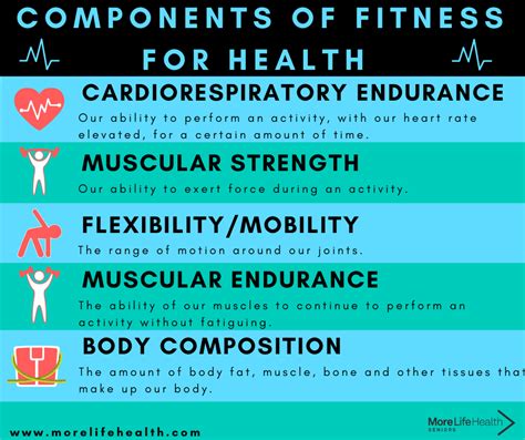 Components Of Fitness For Seniors Health — More Life Health Seniors Health And Fitness