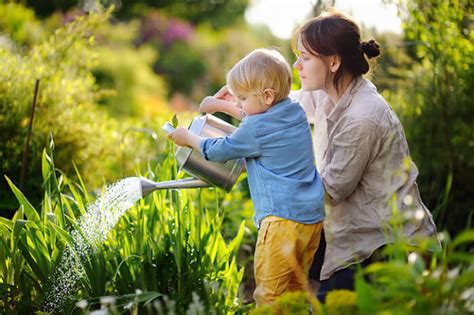 Consejos Para Cuidar Las Plantas De Su Jardín PeriÓdico Que Hay