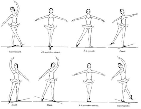 Basic Ballet Positions With Pictures For Beginners City Dance Studios