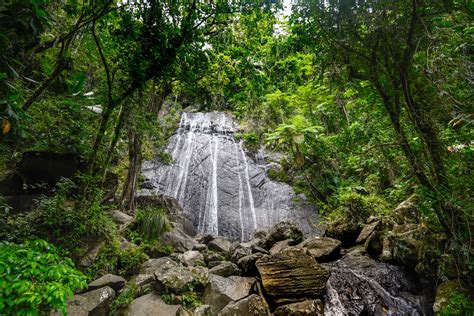 El Yunque Rainforest Guided Hiking With Waterfall Tou Vrogue Co