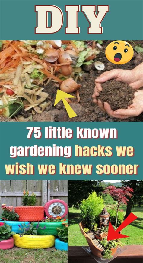 75 little known gardening hacks we wish we knew sooner in 2021 hacks diy gardening tips diy