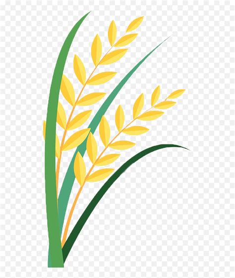 Grain Clipart Paddy Clip Art Png Download Full Size Easy Rice Plant