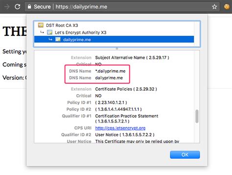 Obtaining A Wildcard Ssl Certificate From Letsencrypt Using The Dns