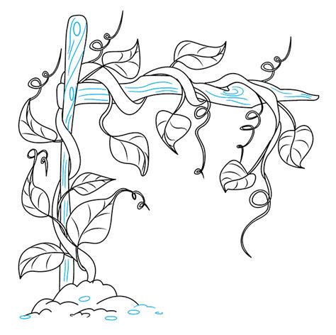 How To Draw Vines Really Easy Drawing Tutorial Vine Drawing