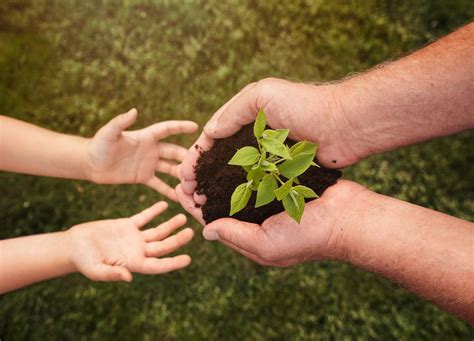 O Que é Consciencia Ecologica