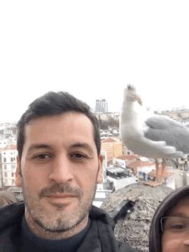 Kenan Turgay Akkuş on Twitter hayvanhakları guvenislamoglu 3