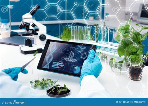 Scientists Working With Plants At Modern Laboratory Stock Image Image