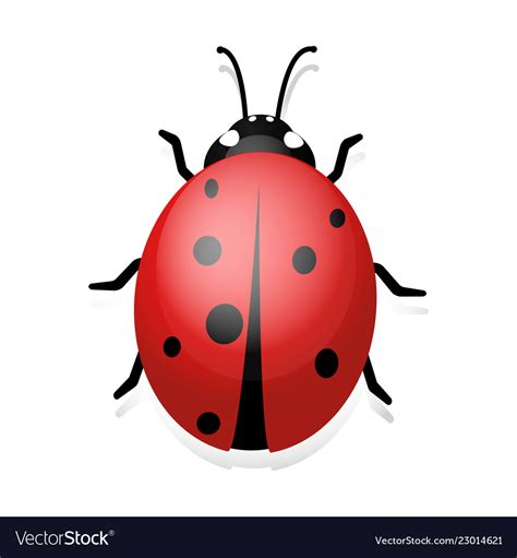 Ladybug Clip Art Of Royalty Free Vector Image Vectorstock