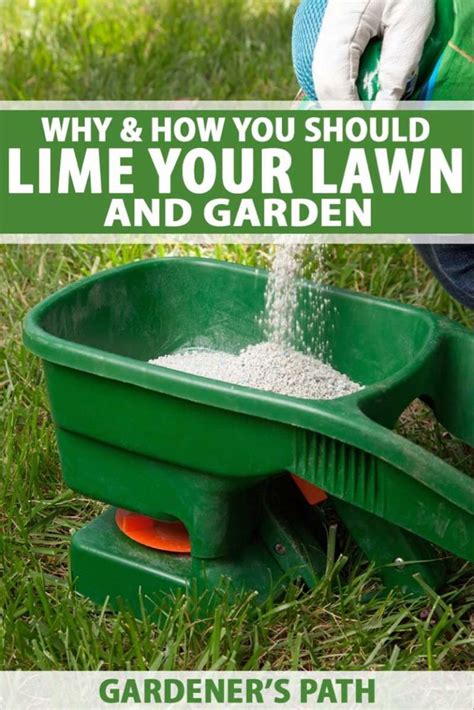 Why And How You Should Lime Your Lawn And Garden Gardeners Path Lawn