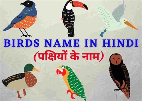 50 All Birds Name In Hindi And English पक्षियों के नाम