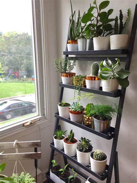 20 Plant Shelf Decorating Ideas