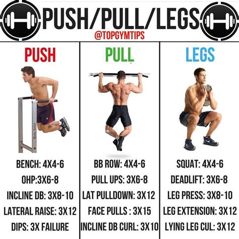 USH PULL LEGS By Topgymtips A Push Pull Legs Split Is Great For Beginners Intermediates