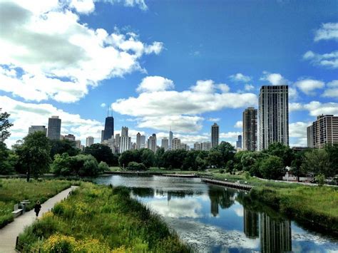 Lincoln Park Chicago All You Need To Know Before You Go