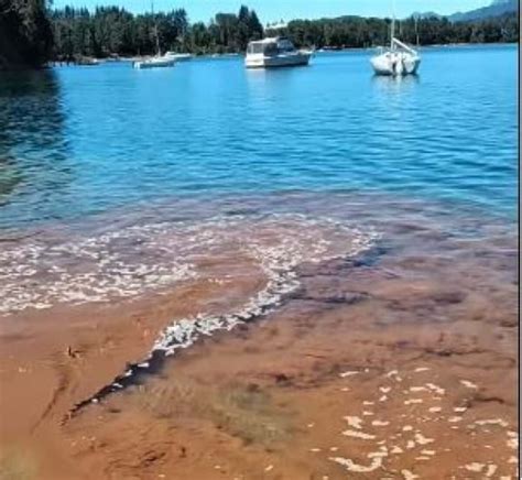 Denunciaron Contaminación En El Lago Nahuel Huapi Sector Playa Las