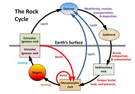 Rock Cycle Unveiling The Earths Geological Tale