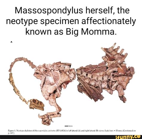 Picture Memes Mpctnghb8 By Rexypaleontology 1 Comment