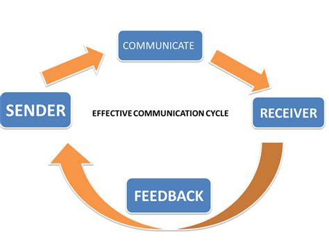 The Communication Cycle The Training Box