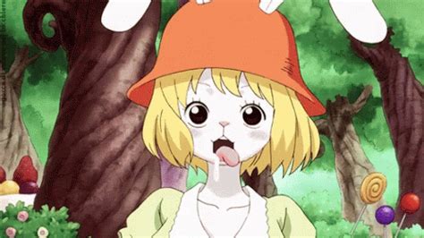 Carrot One Piece Cute Carrot Gif Carrot One Piece One Piece Cute Carrot Gif
