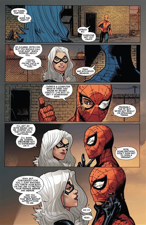 Black Cat And Spiderman In Bed