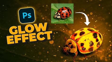 How To Create Glow Effect In Photoshop Glow Effect Photoshop