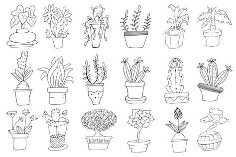 Hand Drawn Doodle Potted Plants Cliparts 560833 Illustrations