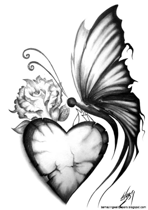 Learn how to draw beautiful butterfly pictures using these outlines or print just for coloring. Beautiful Drawings Of Butterflies | Amazing Wallpapers