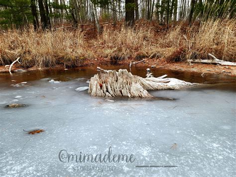 The Ice Intrigues Me So Much Mimademe Photography