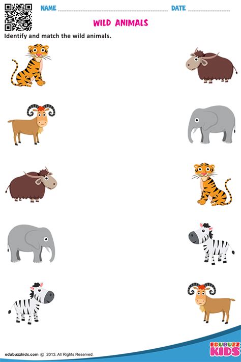 Wild Animals Animal Worksheets Animals For Kids Animal Activities