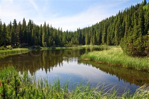 Summer Mountain Lake Marichejka And Fir Forest Reflection Ukraine