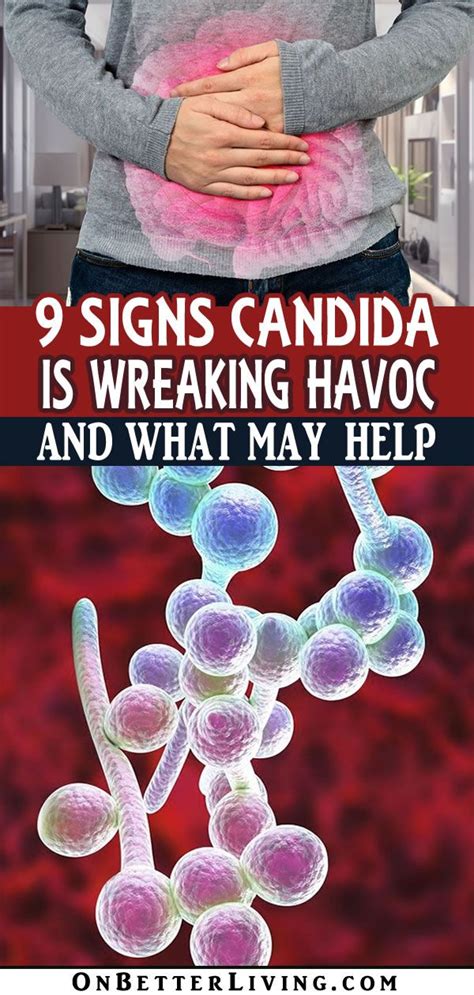 9 Signs Candida Is Wreaking Havoc On Your Body Better Living