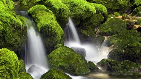 Download 3d Waterfall Live Wallpaper Free Download For Pc