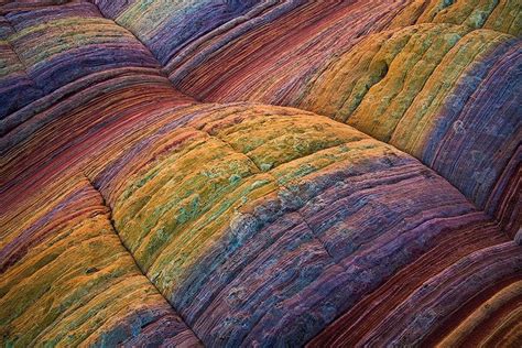 35 Breathtaking Examples Of Patterns In Nature Demilked With Images
