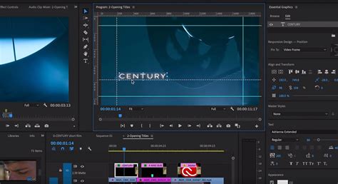 It's a favorite because it includes more. Adobe Premiere Pro CC Updates Interview - Stability ...
