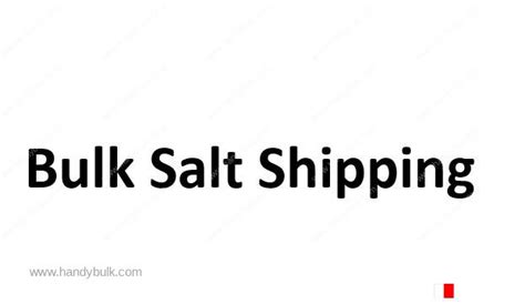 Bulk Salt Shipping Handybulk