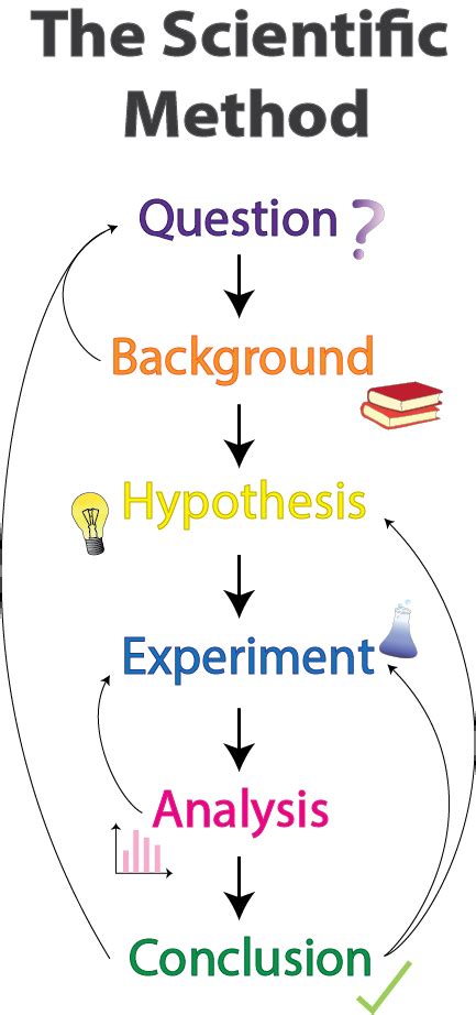 Scientific Method Definition Steps And Examples Lesson