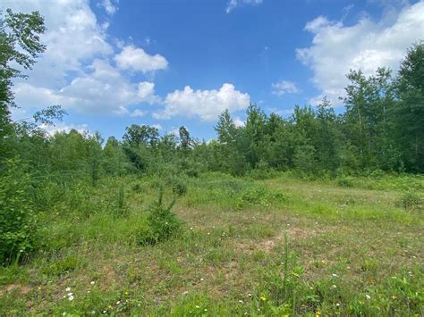 Hunting Land For Sale In Minnesota Hunting Properties For Sale In