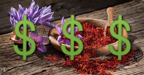 My extensive experience shows that canadians are rude and they are far from being shy. Saffron Is the Most Expensive Spice in the World - Here's Why