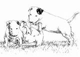 Bull Plaatjes Bullterrier Hunde Terriers Animierte Bewegende Animaties Animaatjes Plaatje Chiots sketch template